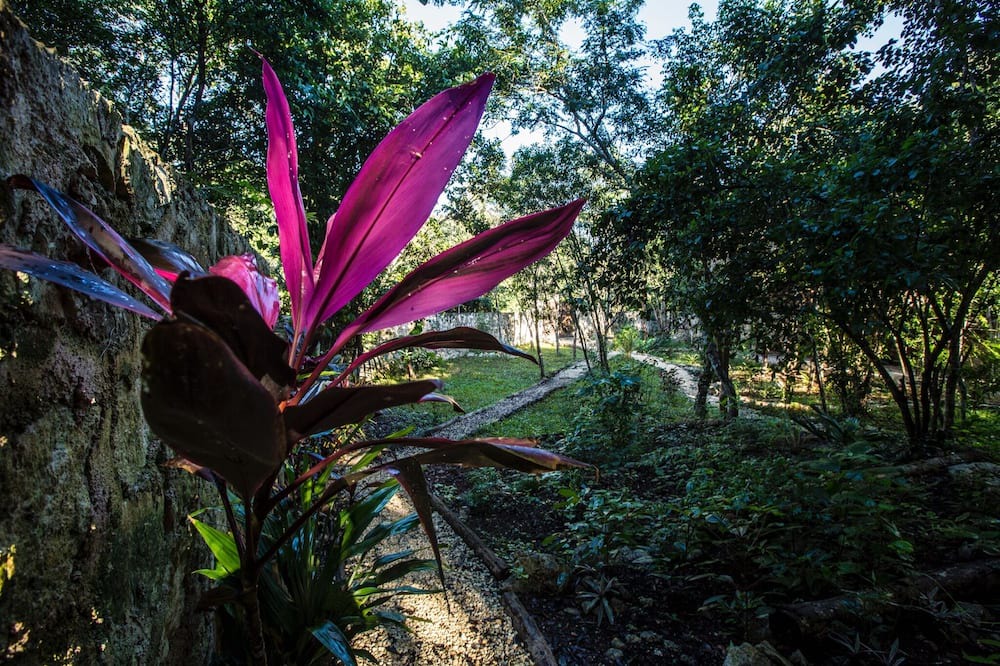 Photo of Outdoor in Macario Gomez