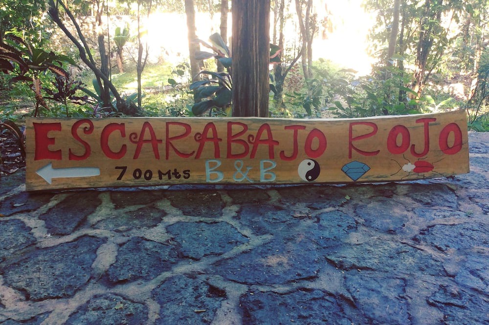Photo of Outdoor in Macario Gomez