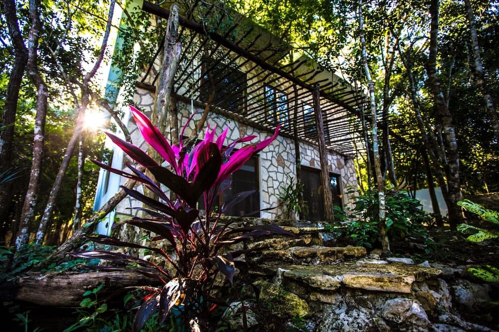 Photo of Outdoor in Macario Gomez