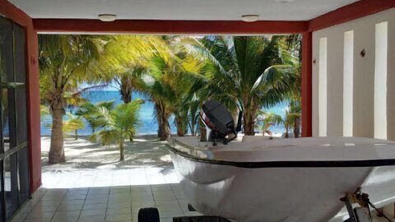 Photo of Others in Chetumal