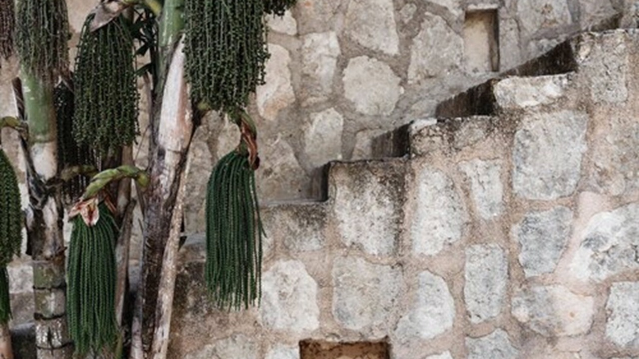 Photo of Outdoor in Coba