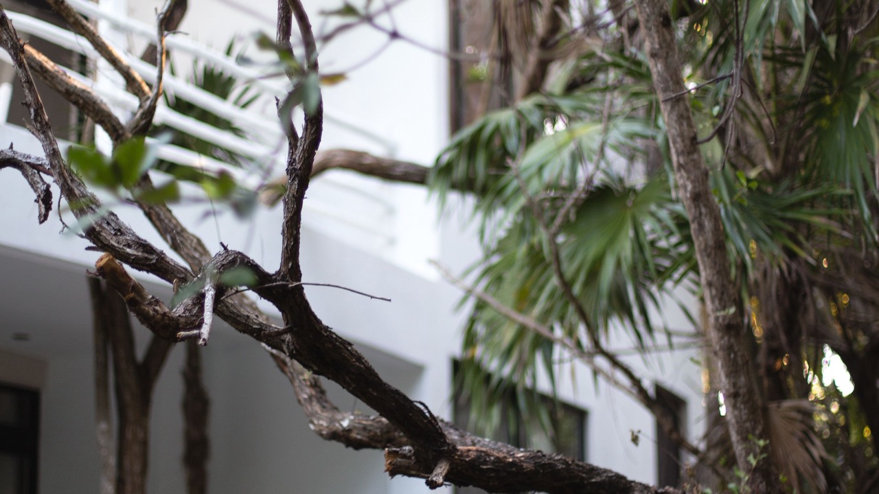 Photo of Outdoor in Zona Hotelera