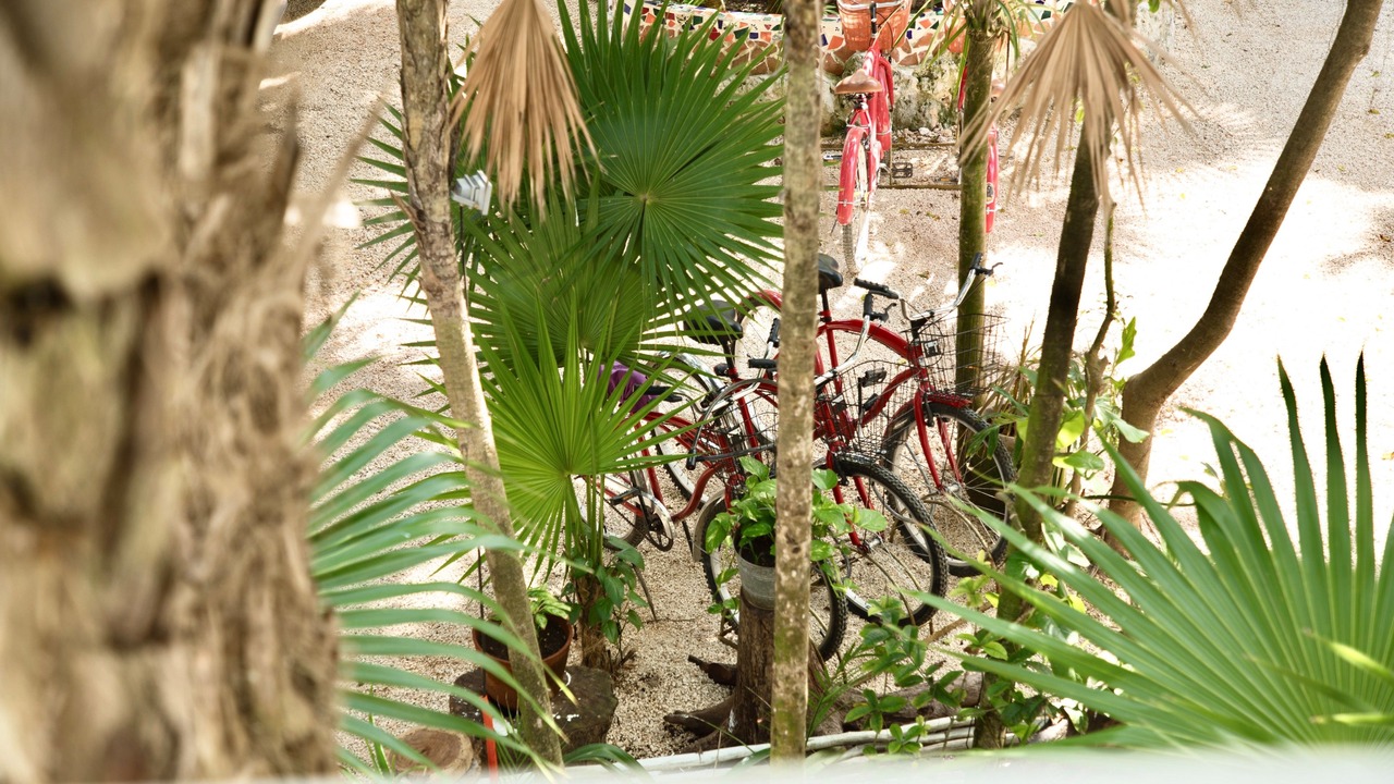 Photo of Outdoor in Zona Hotelera