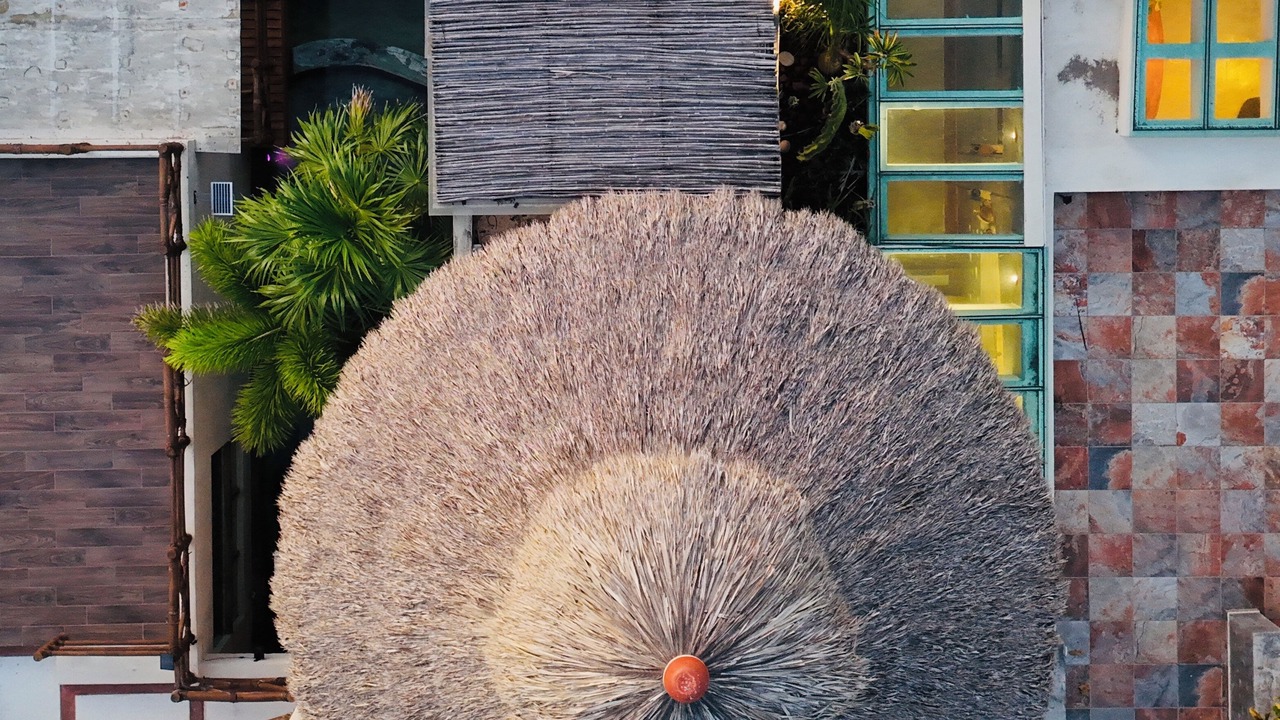 Photo of Others in Acapulco