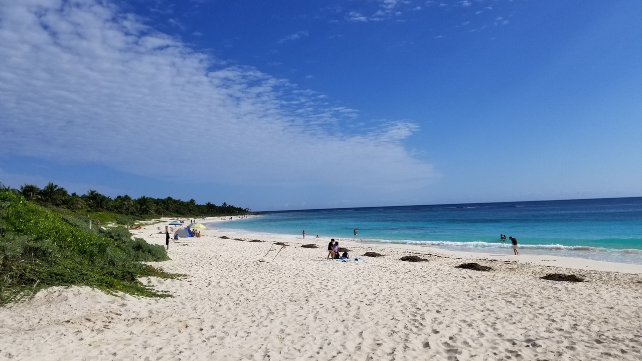 Photo of Others in Akumal
