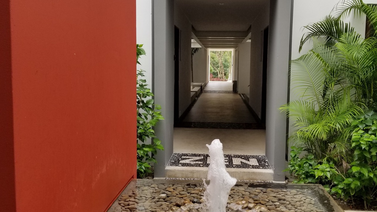 Photo of Outdoor in Akumal
