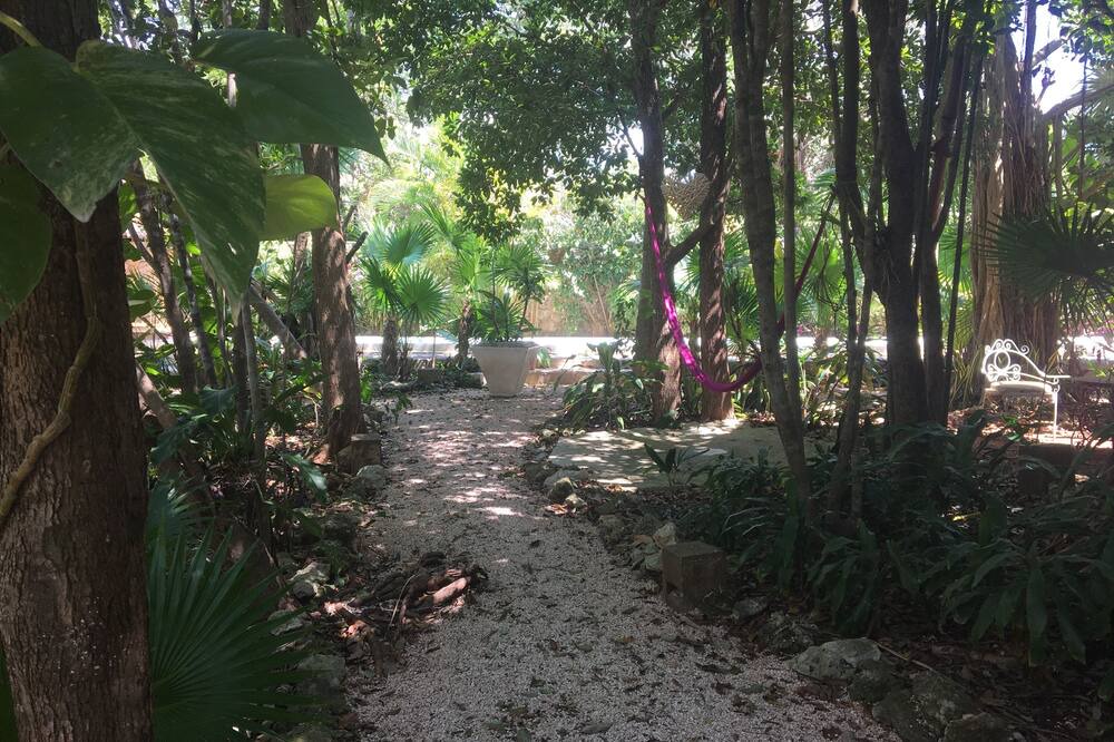 Photo of Outdoor in Cancun