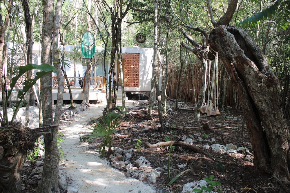 Photo of Outdoor in Akumal