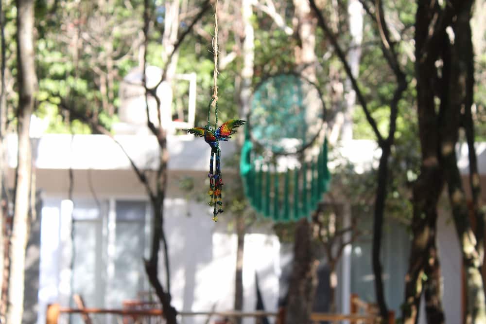 Photo of Outdoor in Akumal