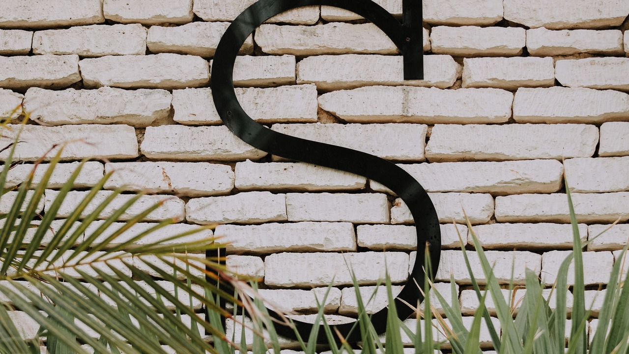 Photo of Outdoor in Tulum