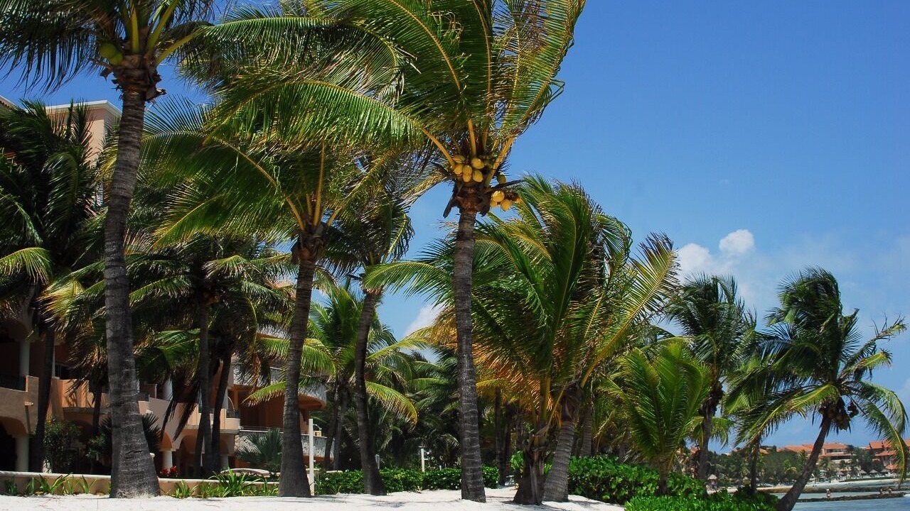 Photo of Outdoor in Xpu-Ha
