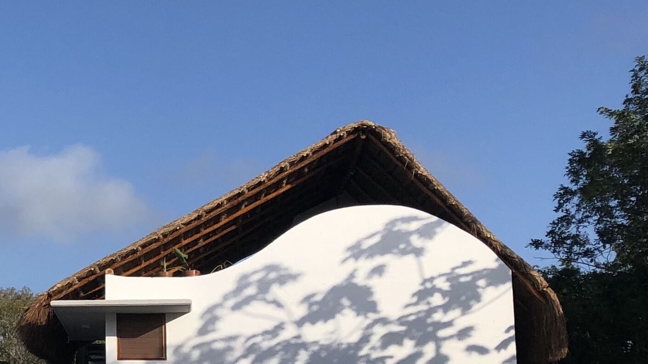 Photo of Outdoor in Majahual
