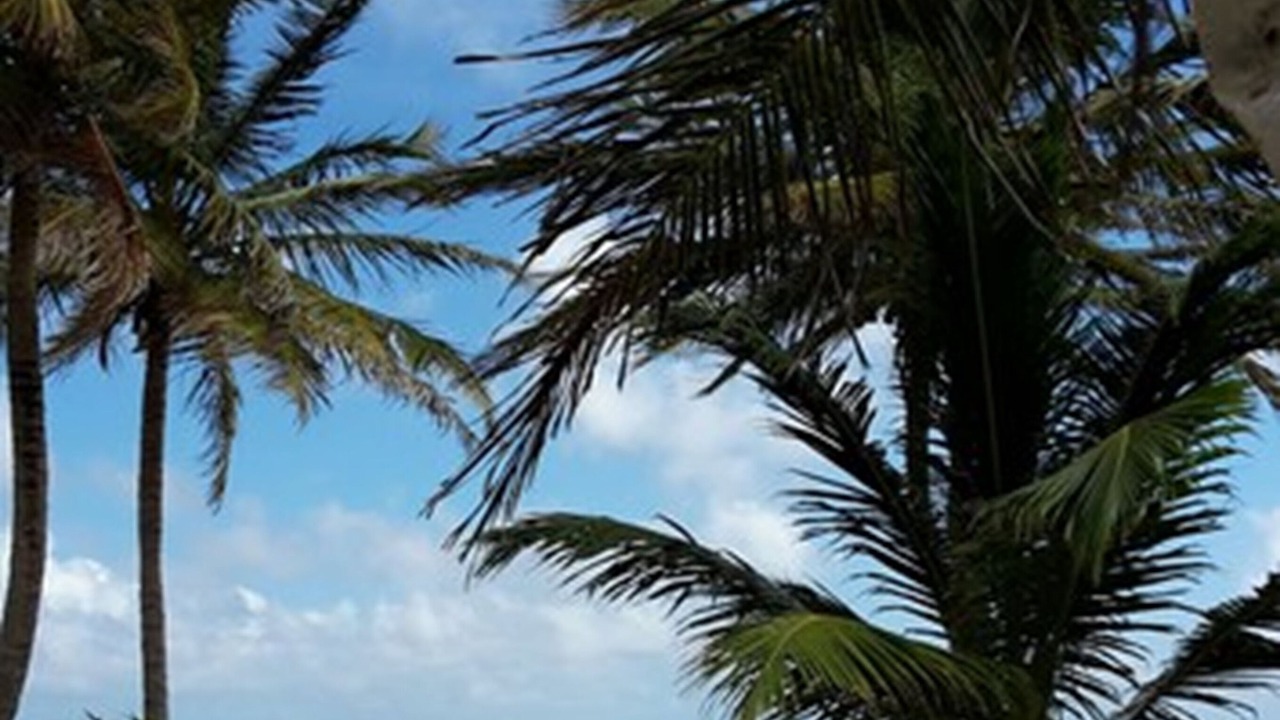 Photo of Outdoor in Mahahual