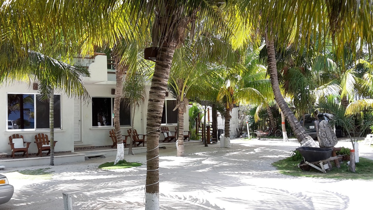 Photo of Outdoor in Mahahual