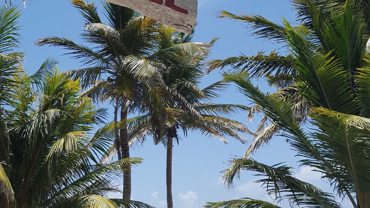 Photo of Outdoor in Mahahual