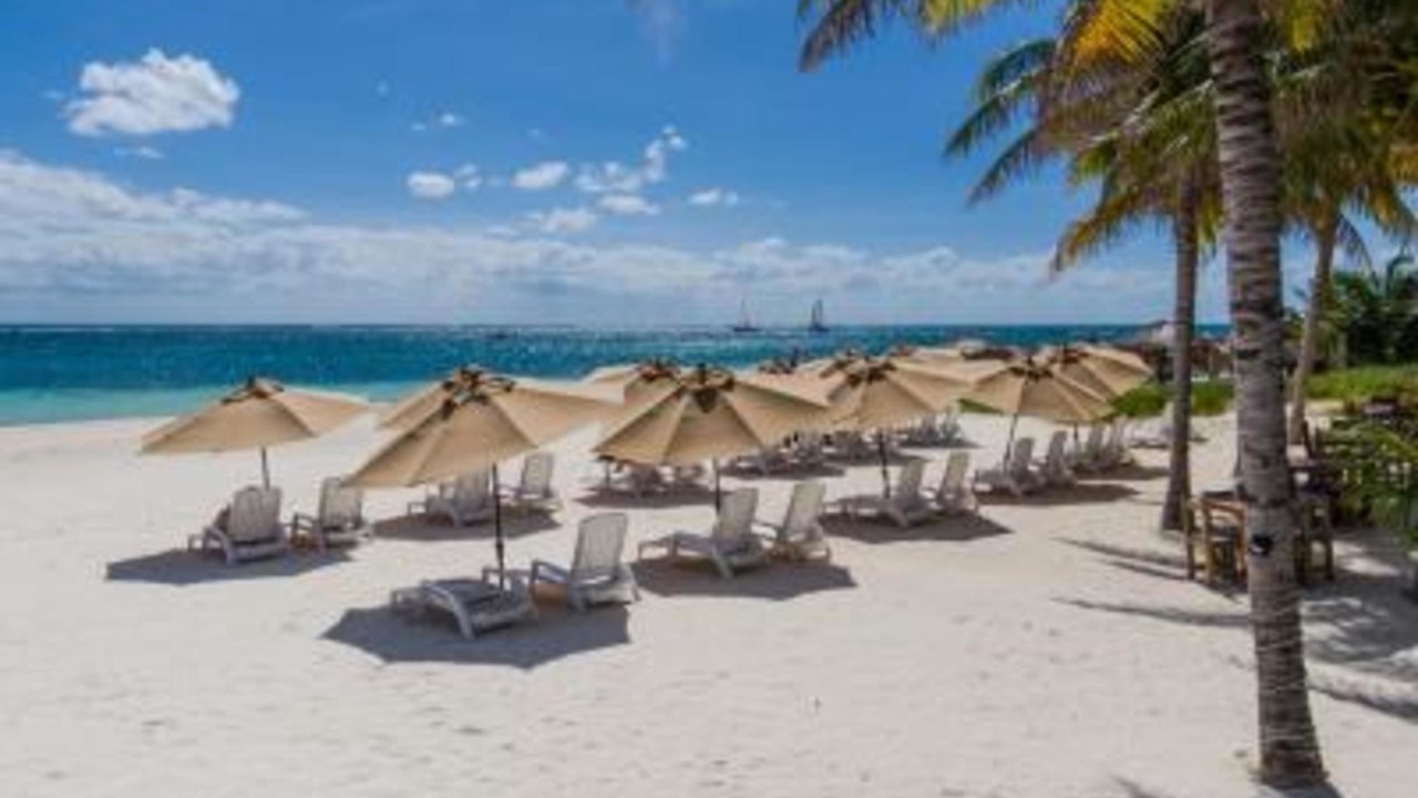 Photo of Others in Puerto Morelos