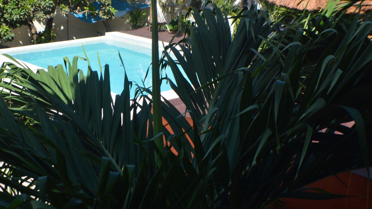 Photo of Outdoor in Tulum City Center