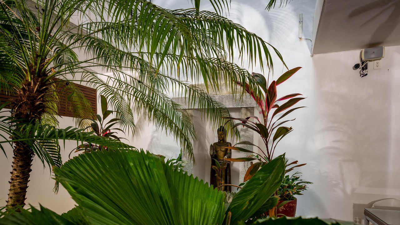 Photo of Outdoor in Tulum City Center