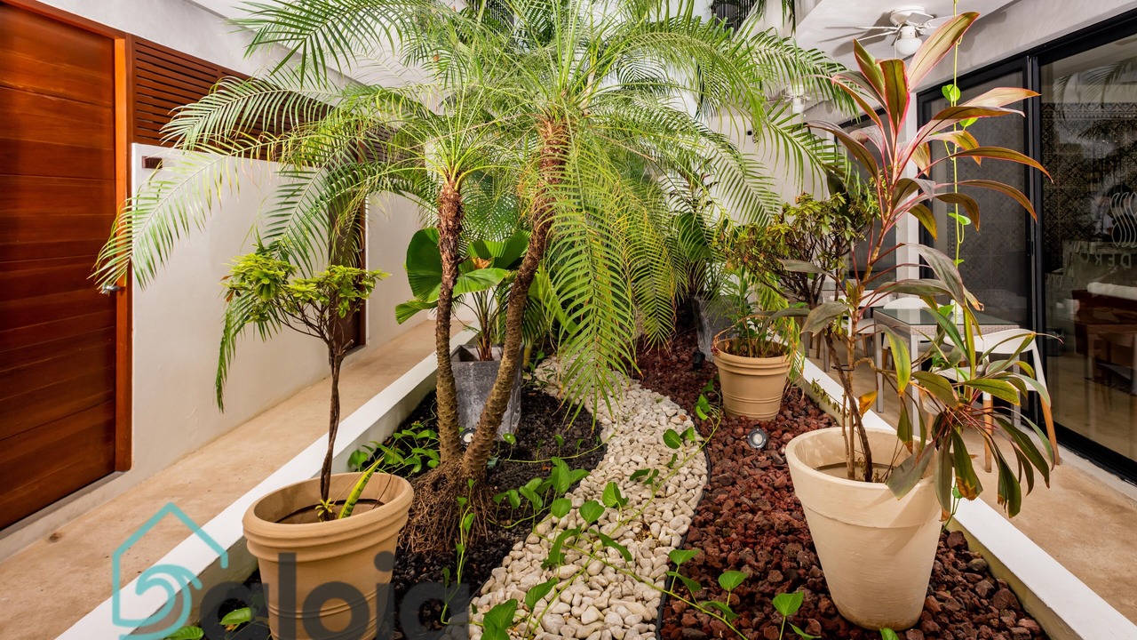 Photo of Outdoor in Tulum City Center