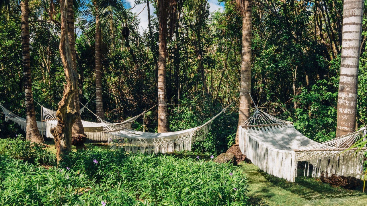 Photo of Outdoor in Villa Juarez