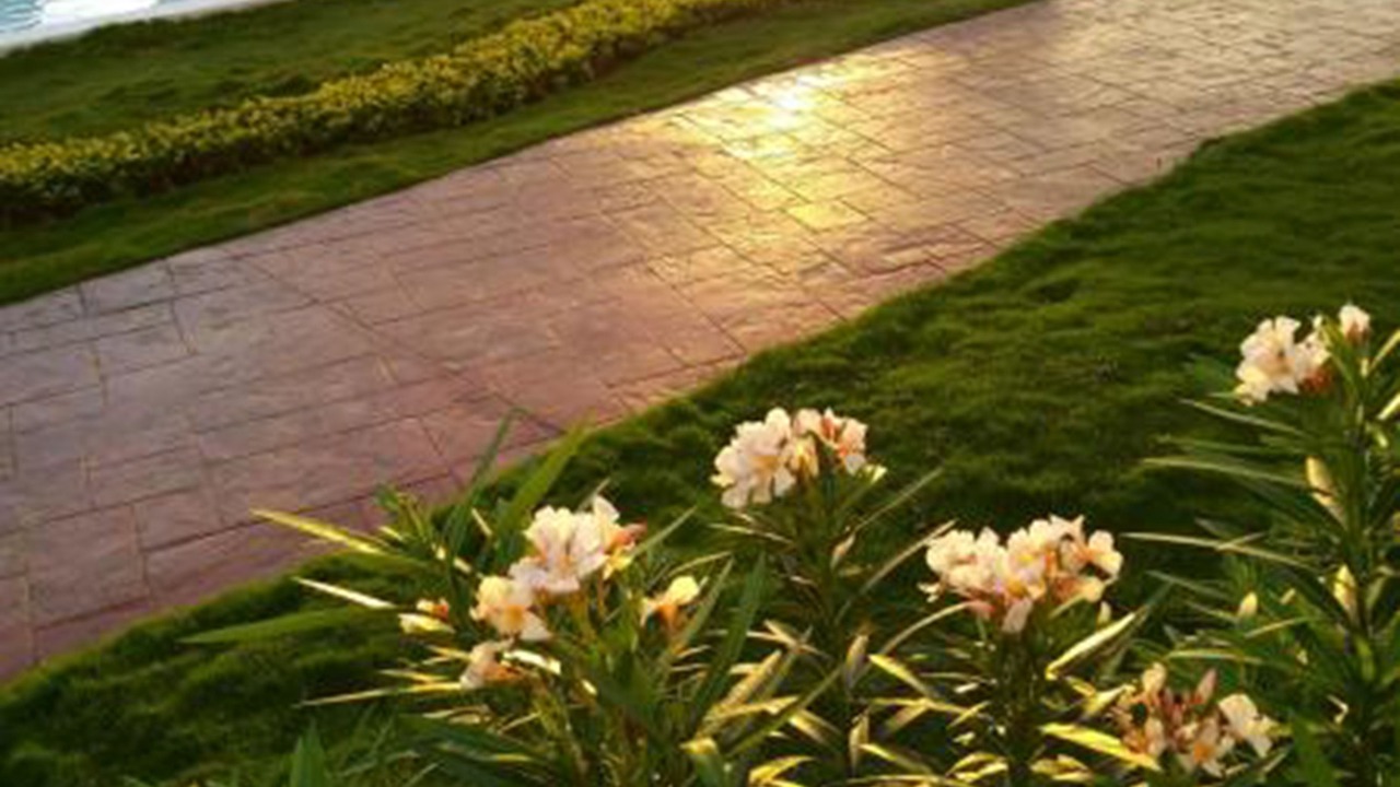 Photo of Outdoor in Cancun
