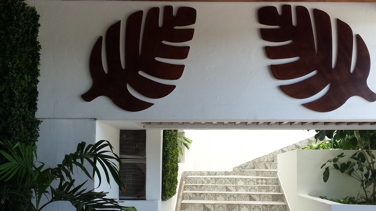 Photo of Outdoor in Punta Cancun