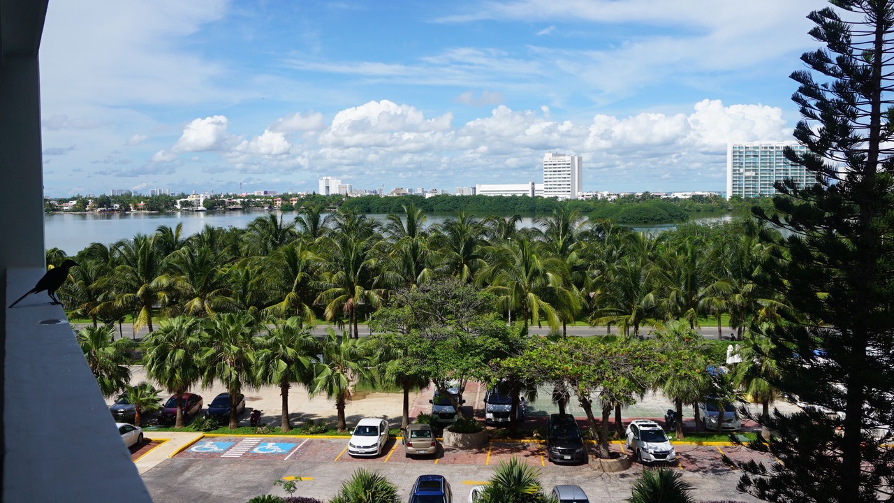 Photo of Others in Punta Cancun