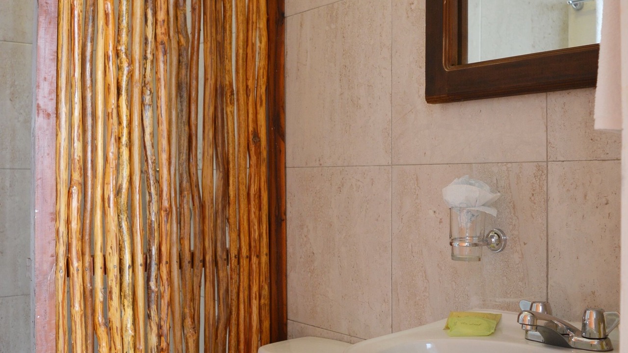 Photo of Bathroom in Colonia Centro