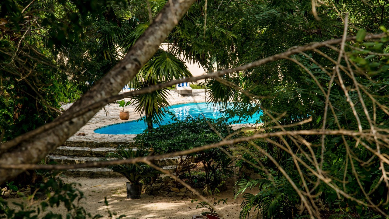 Photo of Outdoor in Alfredo V. Bonfil