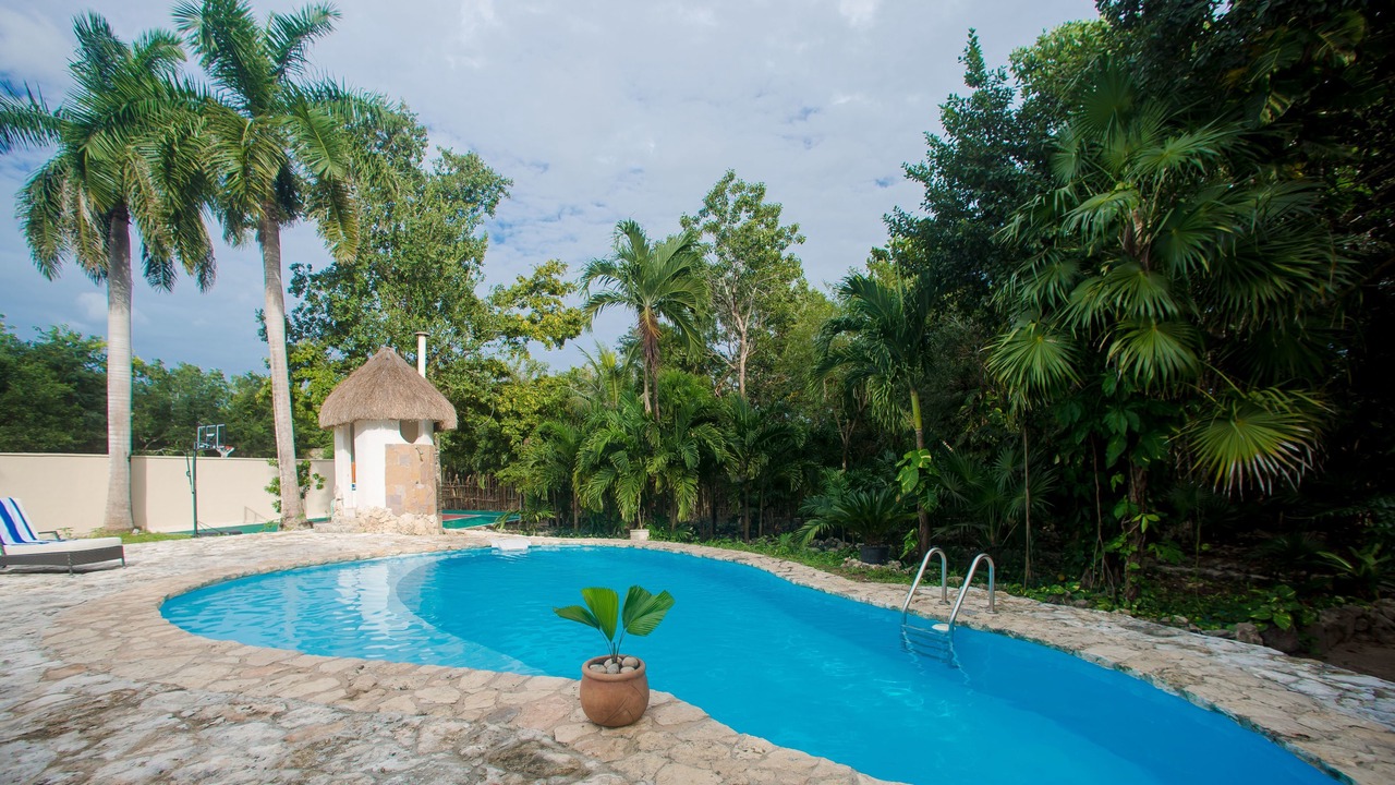 Photo of Outdoor in Alfredo V. Bonfil