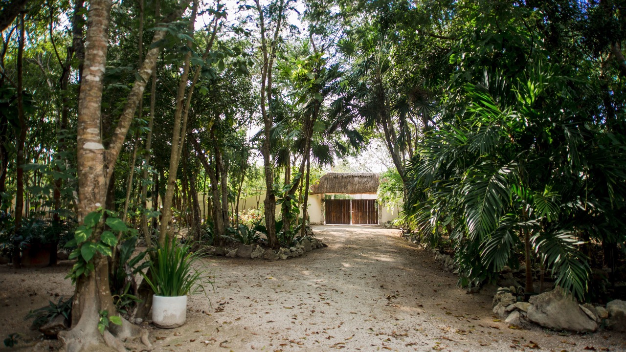 Photo of Outdoor in Alfredo V. Bonfil