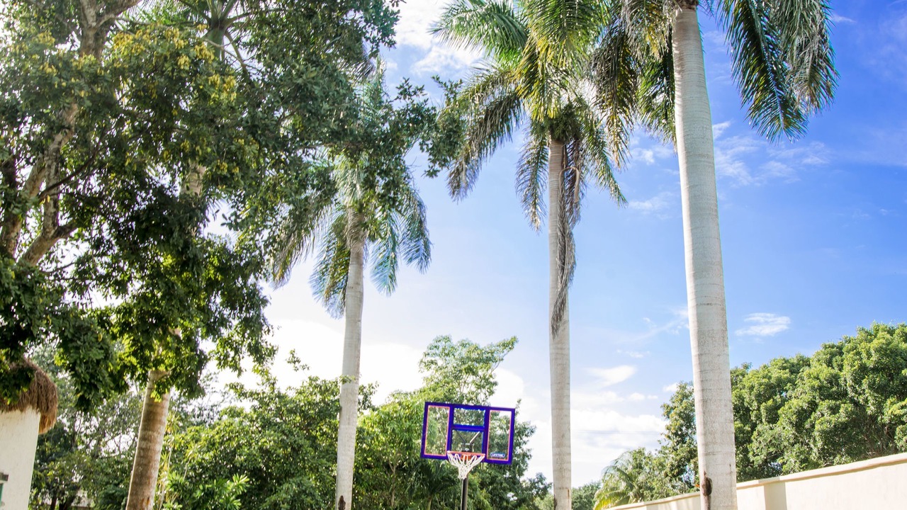 Photo of Outdoor in Alfredo V. Bonfil