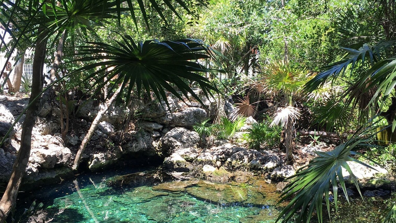 Photo of Outdoor in Chan Chemuyil