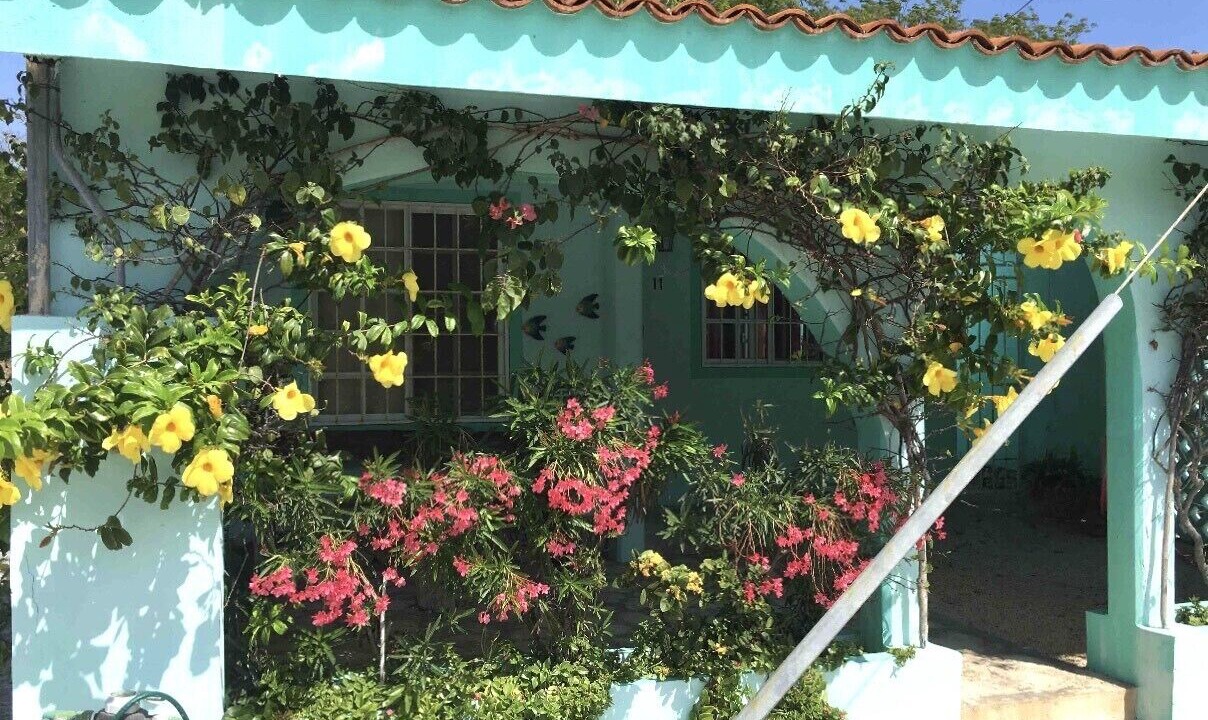 Photo of Outdoor in Chan Chemuyil