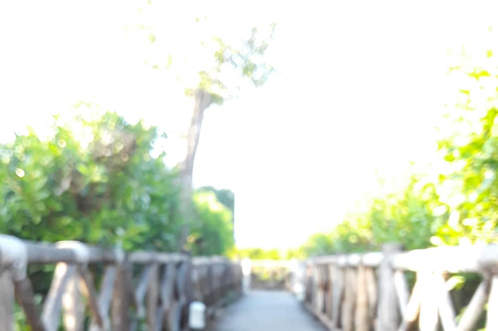 Photo of Outdoor in Costa Maya