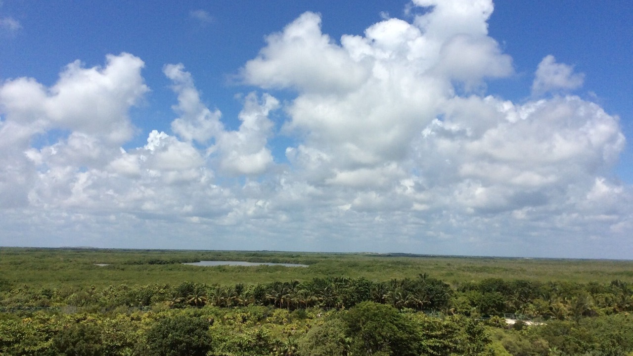 Photo of Others in Playa Mujeres