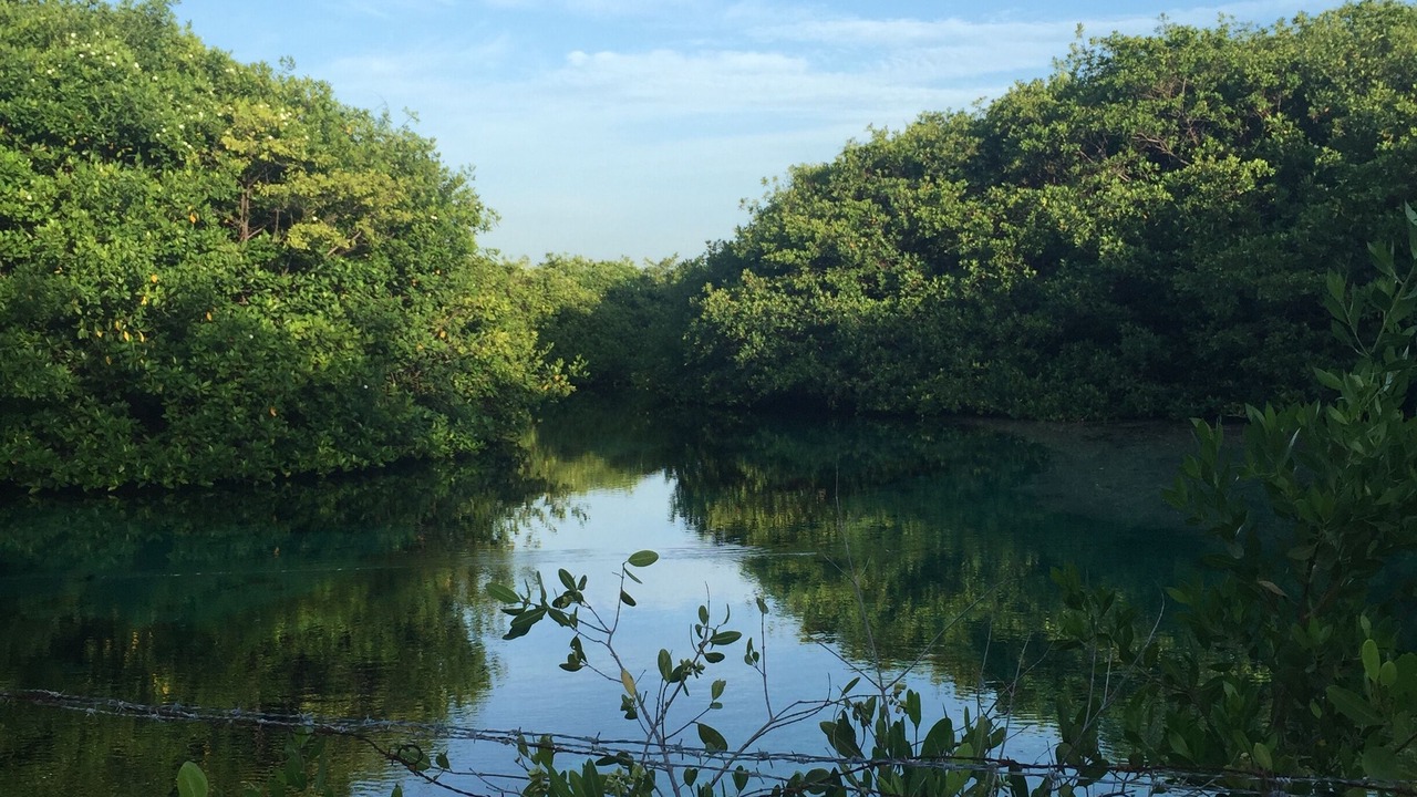 Photo of Outdoor in Ek Balam Village