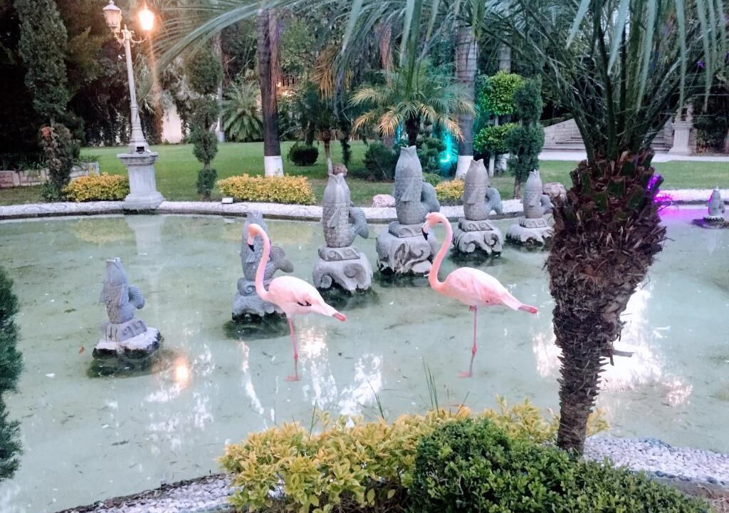 Photo of Outdoor in Centro