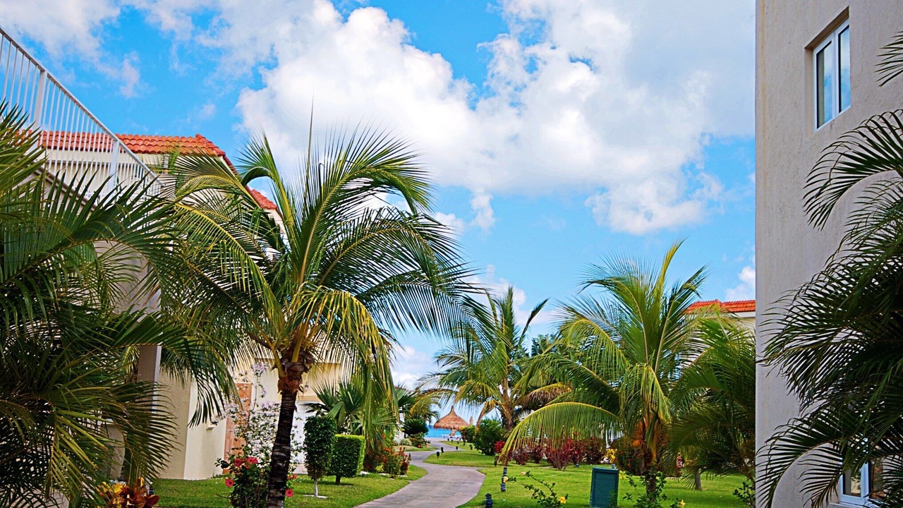 Photo of Outdoor in Costa Maya
