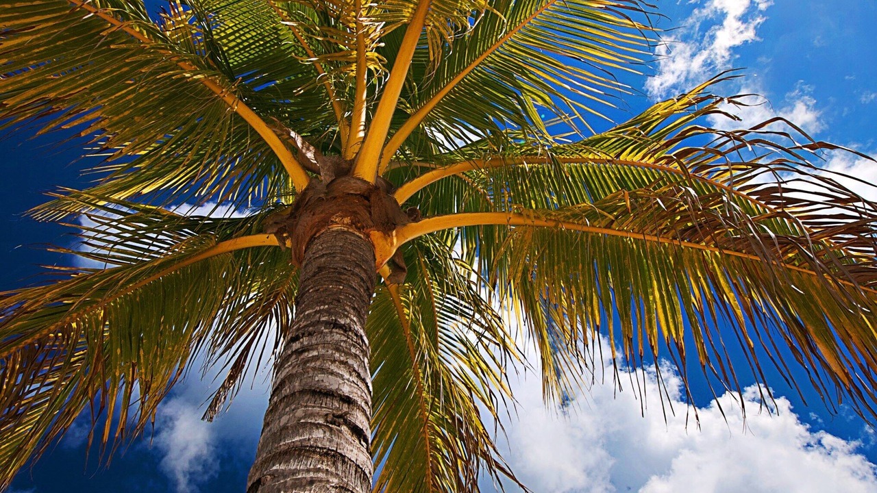 Photo of Outdoor in Costa Maya