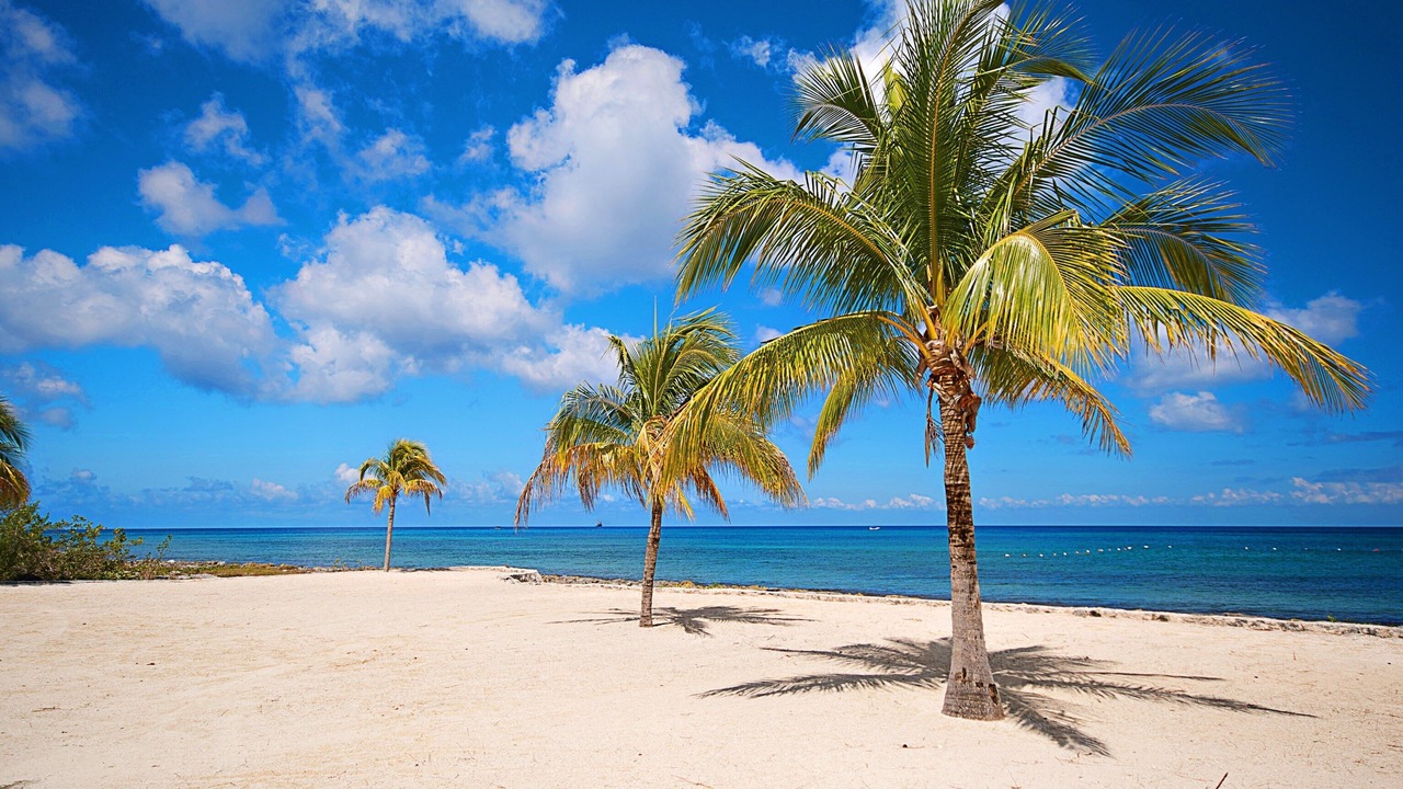Photo of Others in Costa Maya