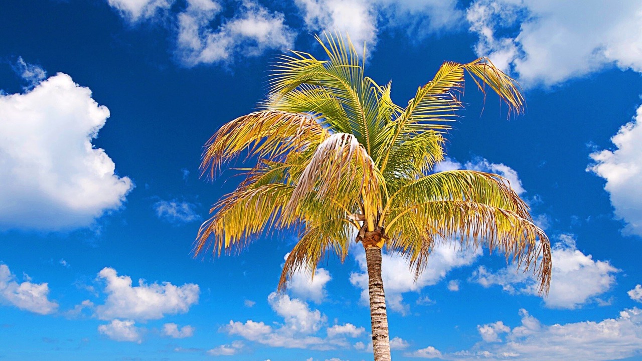 Photo of Others in Costa Maya