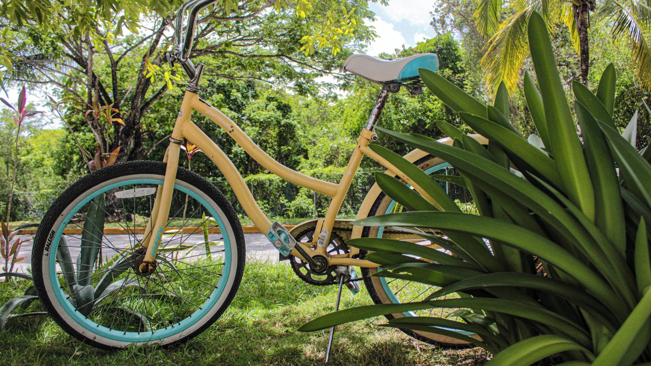 Photo of Outdoor in Zona Hotelera Norte