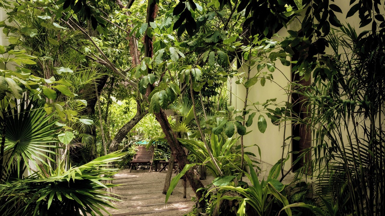 Photo of Outdoor in Tulum