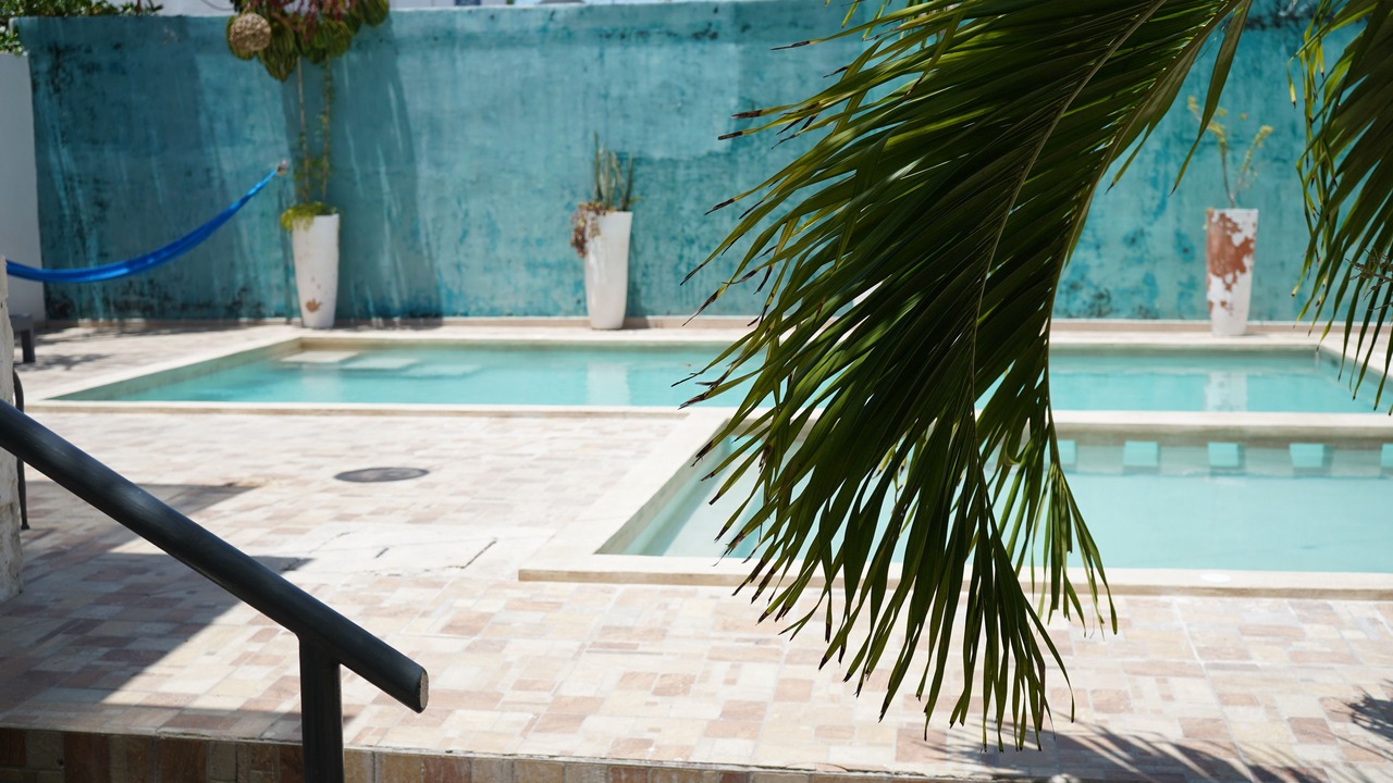 Photo of Outdoor in Chetumal