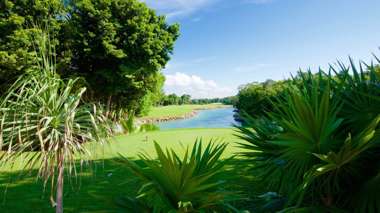 Photo of Outdoor in Akumal