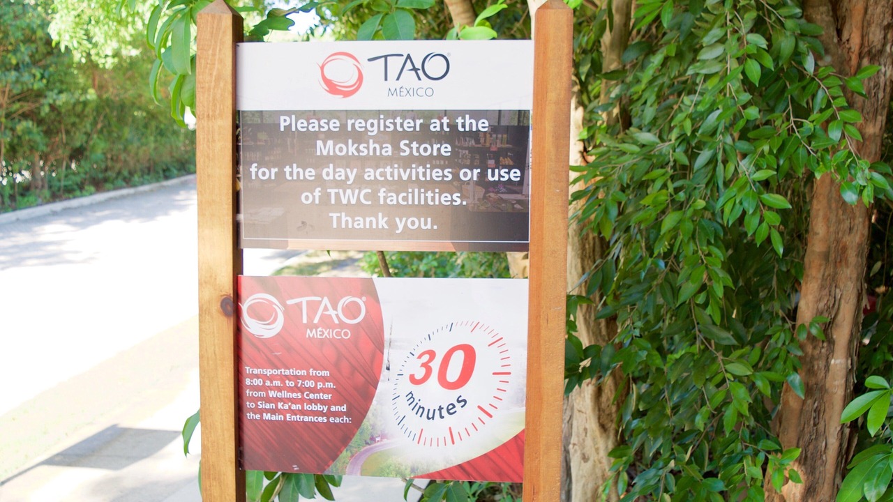 Photo of Outdoor in Akumal