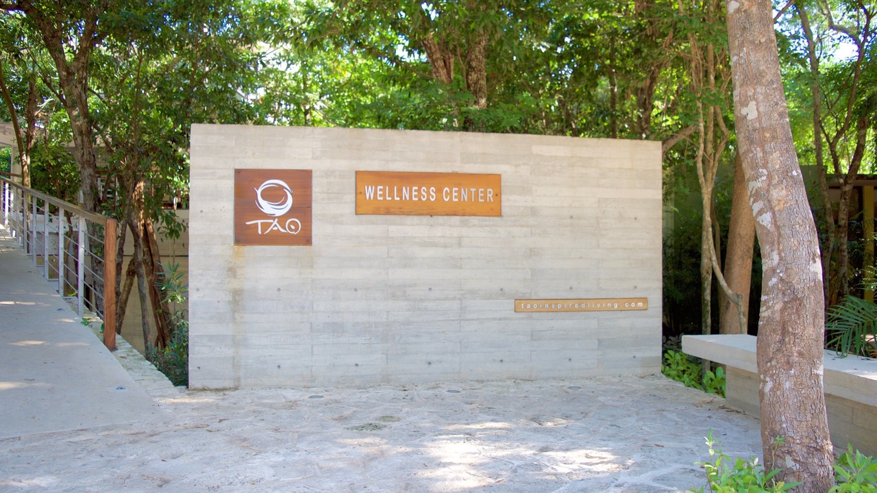 Photo of Outdoor in Akumal