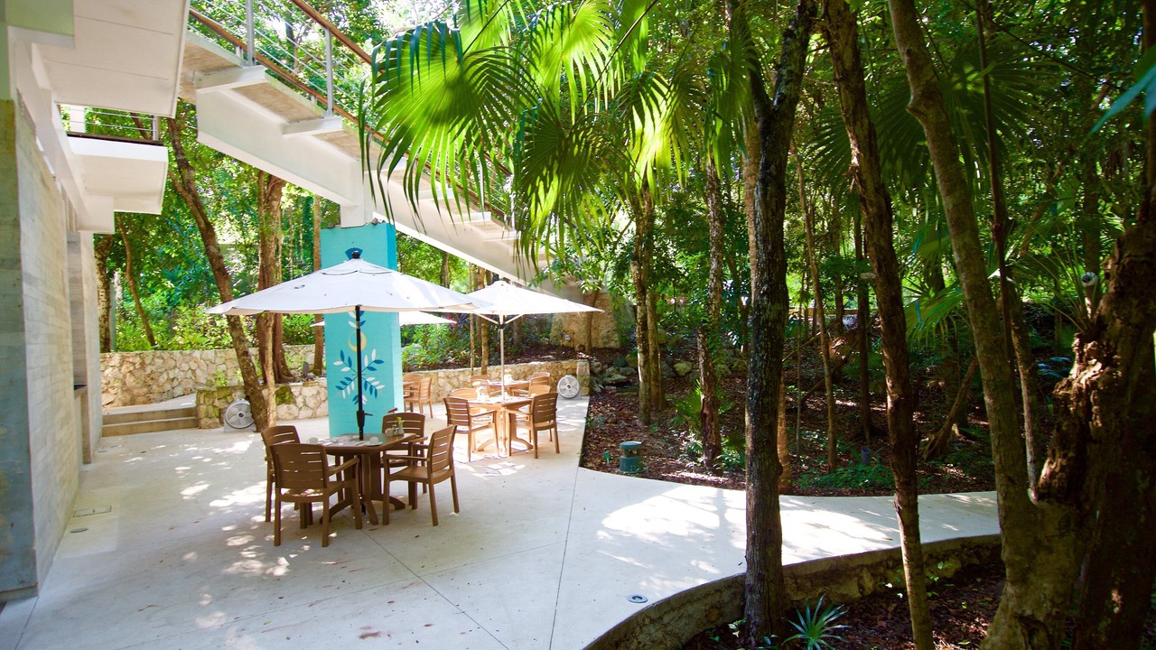 Photo of Outdoor in Akumal