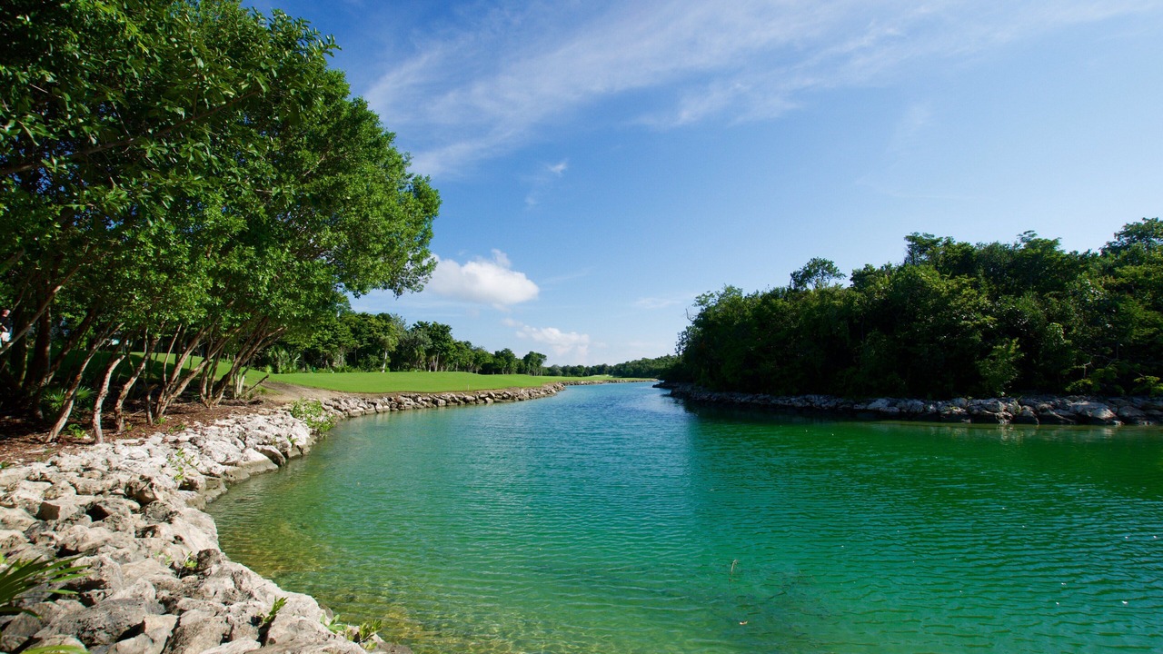 Photo of Others in Akumal